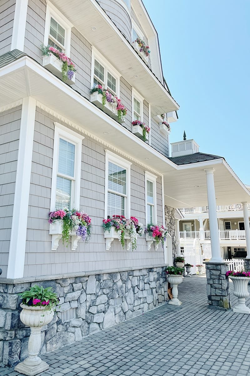 flowers were starting to bloom flowers were starting to bloom