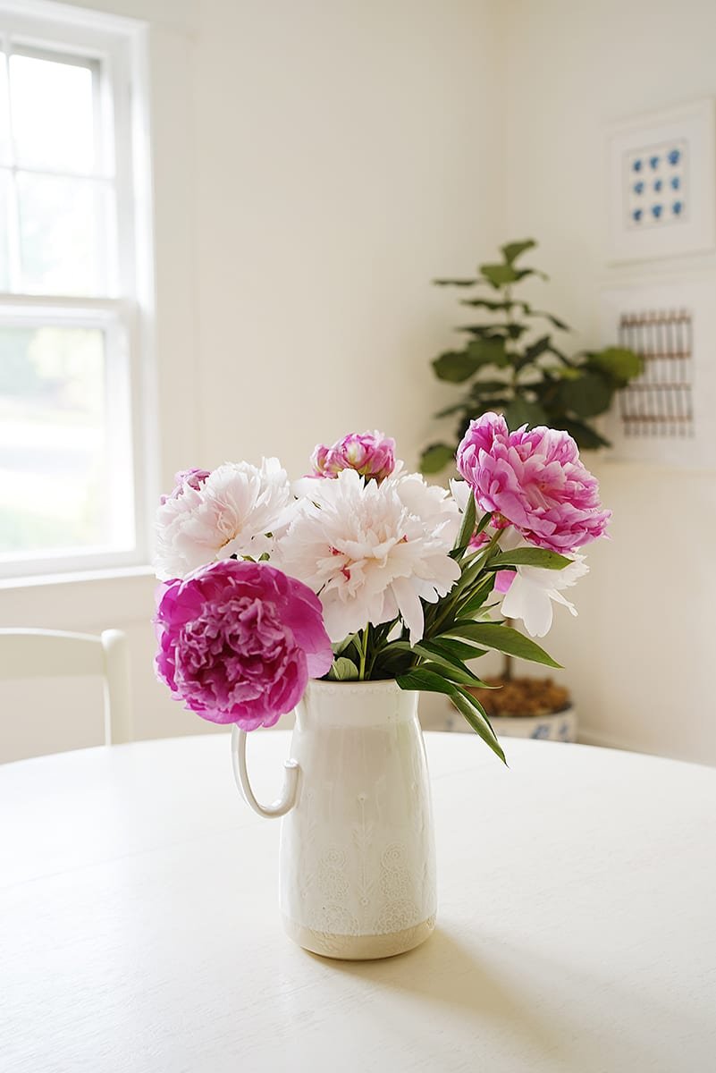 Q&A: TIPS FOR FIRST TIME HOMEBUYERS, MATERNITY LEAVE, and HOW I COME UP WITH BLOG CONTENT Q&A: TIPS FOR FIRST TIME HOMEBUYERS, MATERNITY LEAVE, and HOW I COME UP WITH BLOG CONTENT